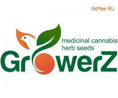 Покупайте семена в магазине "GrowerZ"